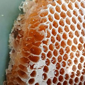 প্রাকৃতিক চাকের মধু